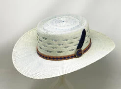 Charlie 1 Horse Blue Roan Straw Western Hat