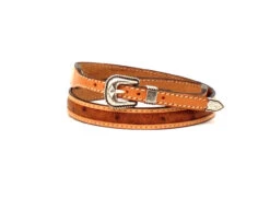 3D Ostrich Western Hatband